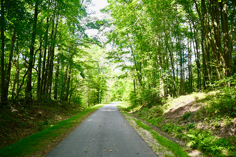 Fred Meijer White Pine Trail State Park - Sand Lake to Stanwood